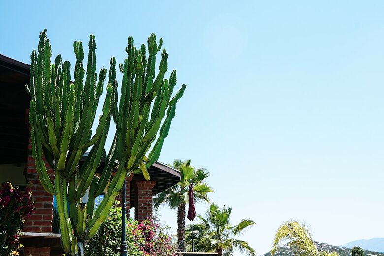 Hotel Rancho Cienpiedras