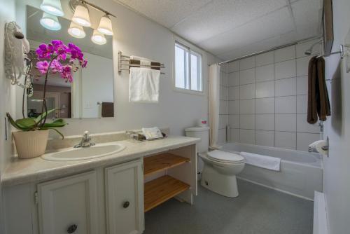 Maple Leaf Motel Inn Towne