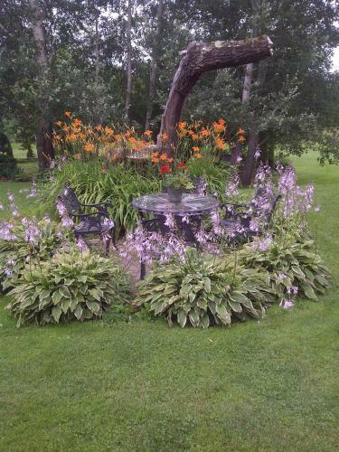 Briarwood Bed & Breakfast