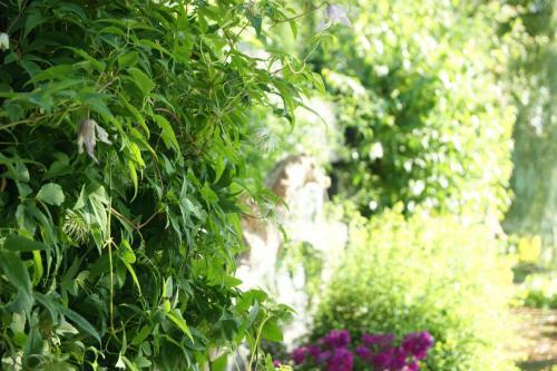 Bed & Breakfast La Belle Aux Berges