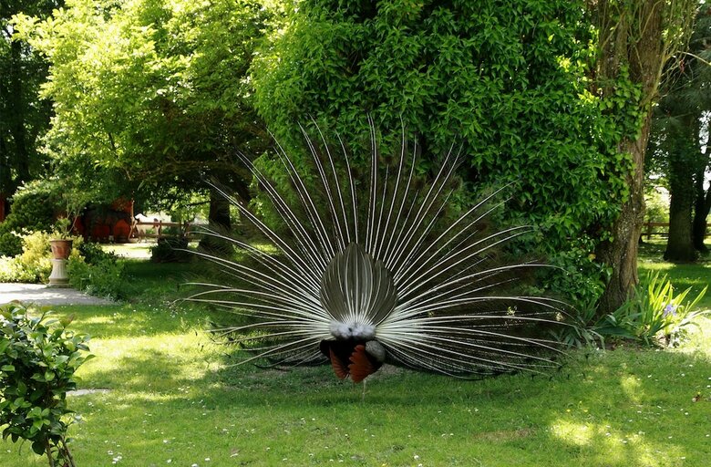 La Roulotte La Faisanderie