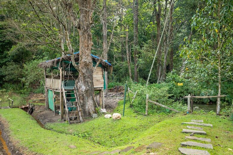 Hotel The Woods Resorts Wayanad