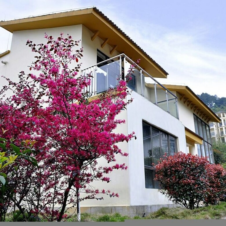 Palace International Hot Spring Hotel