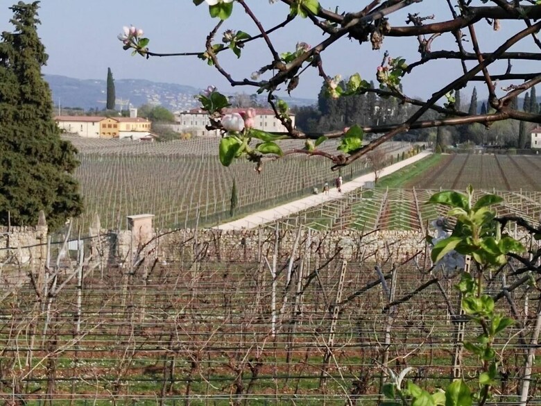 Agroturismo Agriturismo El Crear