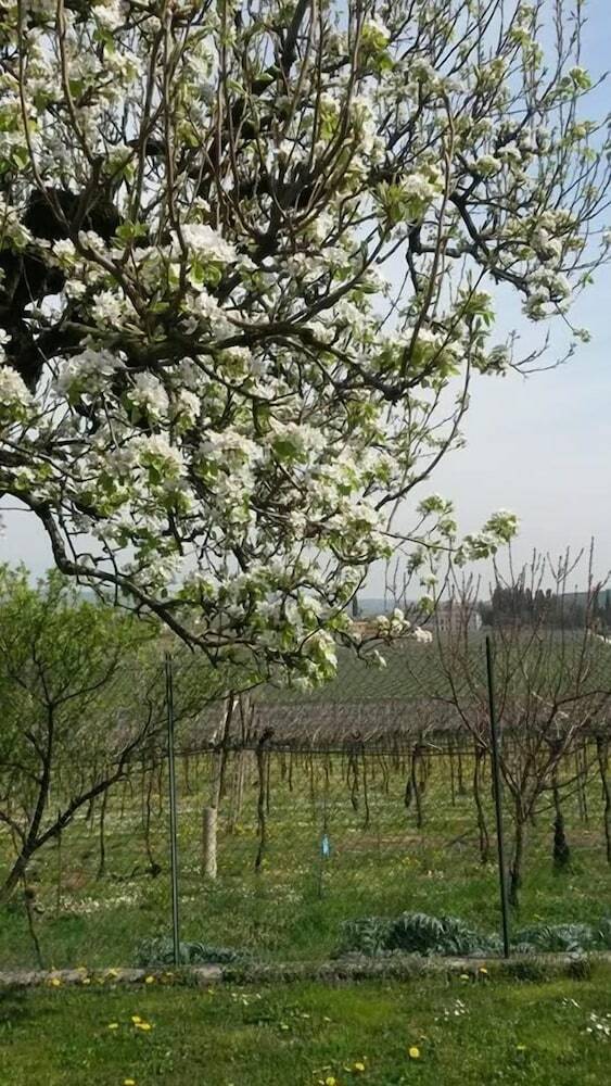 Agroturismo Agriturismo El Crear