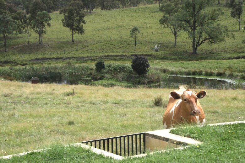 Bed & Breakfast Donegal Farmstay