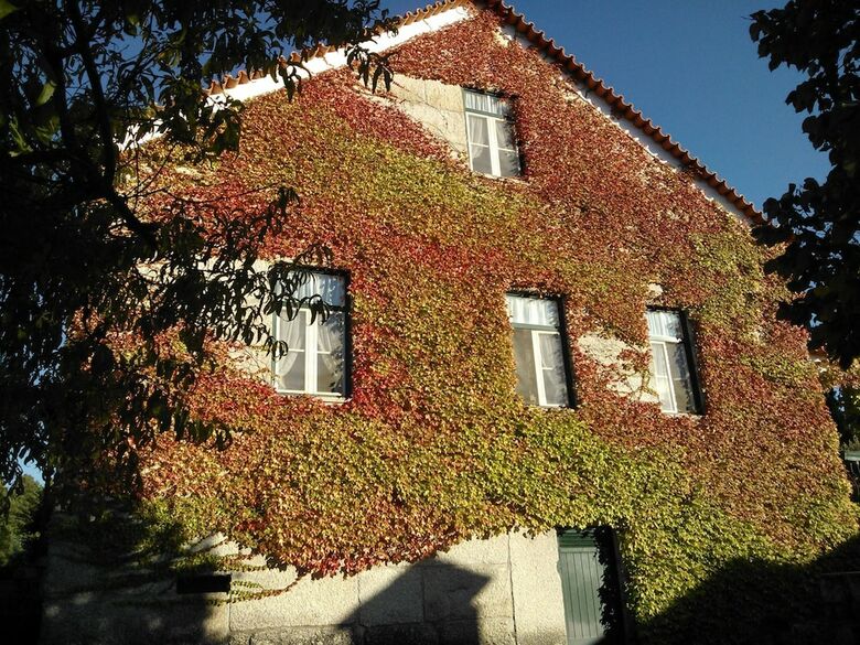 Bed & Breakfast Quinta Da Flor�ncia - Serra Da Estrela