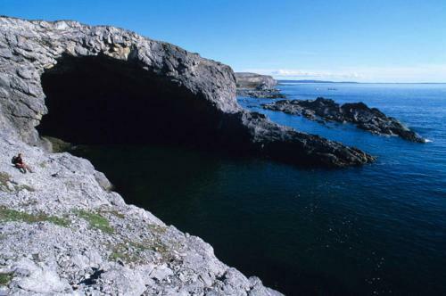Burnt Cape Cabins