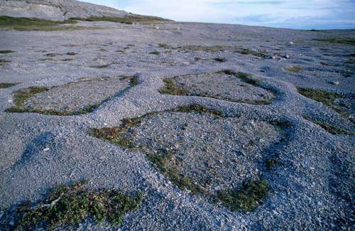 Burnt Cape Cabins