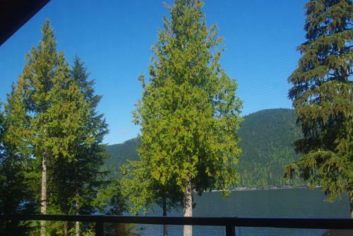 Wild Coast Chalets