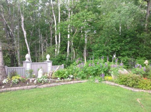 Bed & Breakfast Casa Breeze Inn