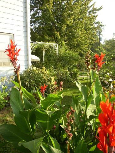 Mettawas End Bed & Breakfast