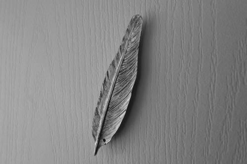 Bed & Breakfast Plumes Et Glisse