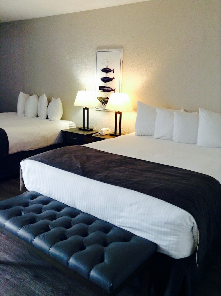 Hotel Driftwood Inn