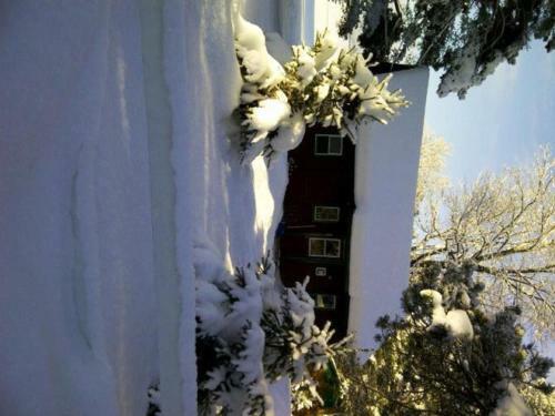 Logging Chain Lodge Cottage Resort