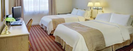 Hotel Lakeview Inn And Suites - Bathurst