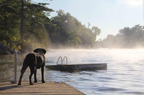 Lodge Westwind Inn On The Lake