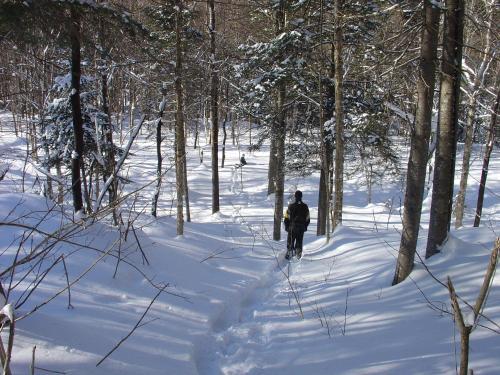 Bed & Breakfast G�te Aventure Nord Expe