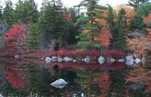 Tranquil Times Bed & Breakfast