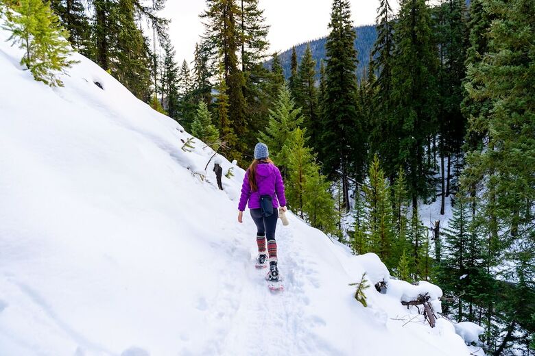 Hotel Manning Park Resort