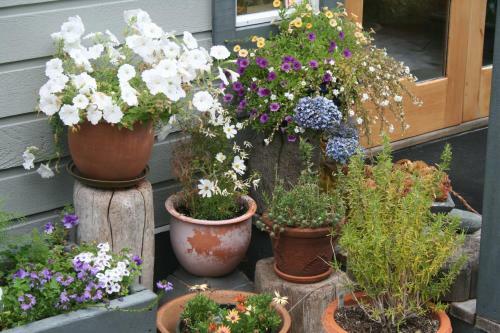Quadra Island Harbour House B&B