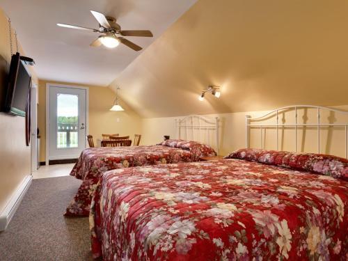 Albergue Robins Inn