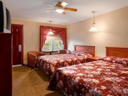 Albergue Robins Inn