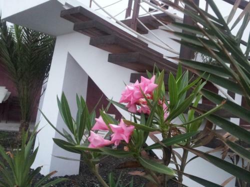 Hotel Residencial Goa