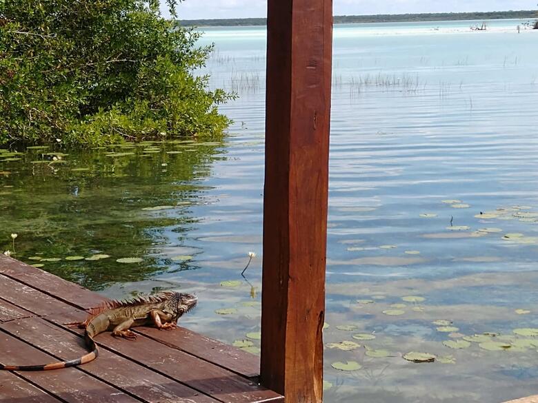 Hotel Casa Shiva Bacalar By Mij