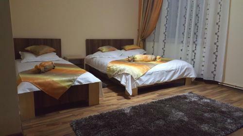 Hostal Casa Alex