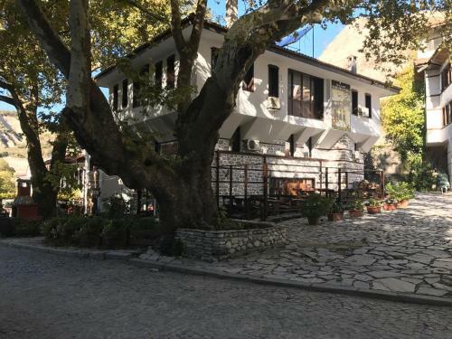 Hotel Chavkova House
