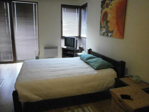 Saint Ivan Ski Apartments