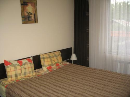 Tzanev Apartments - Bansko