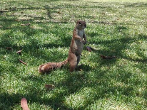 Agroturismo Daisy Country Lodge