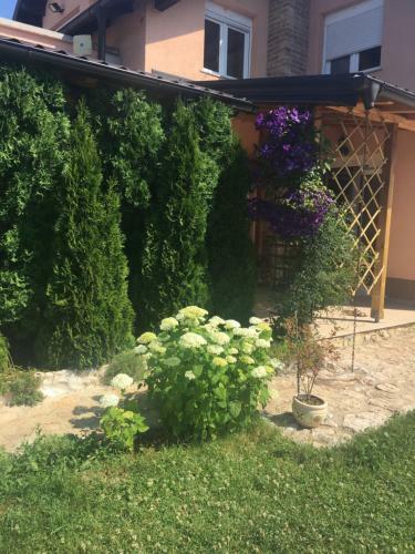 Holiday Home Mrkovici