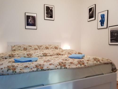 Cherry Flower ( Tre?njin Cvet ) Apartment
