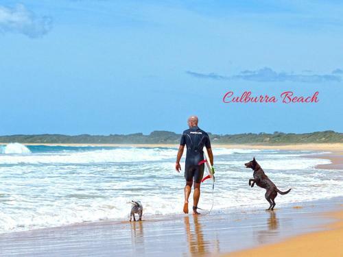 Dolphins Delight @ Culburra Beach