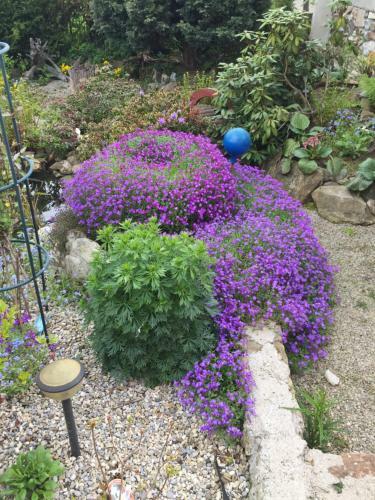 Apartmany Clematis