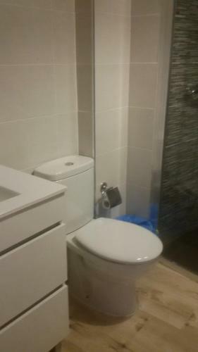 Apartamentos Raices