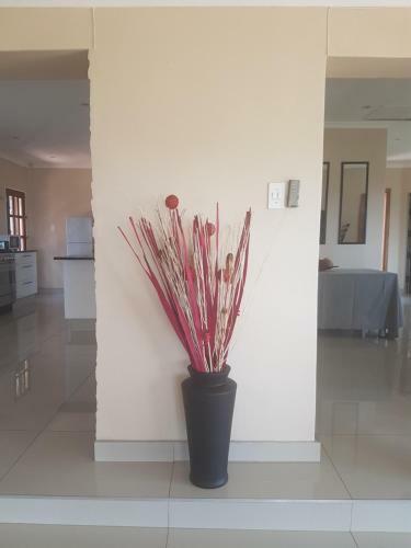 Hostal 6 On Capella Guesthouse