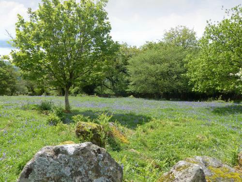 Pond View Cottage