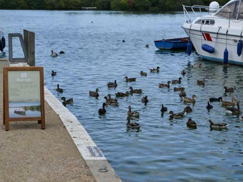 Broad Cottage Boathouse