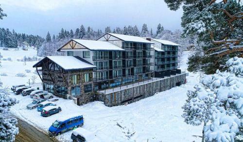 Apartment 220 In Aparthotel Bakuriani