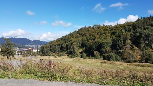 Orbi Apartament 552-554