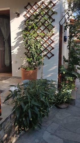 Hostal Filyra Rooms