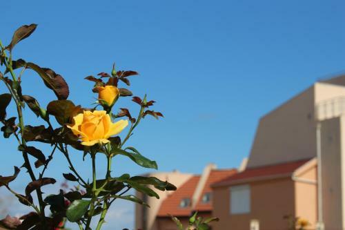Hotel Hera