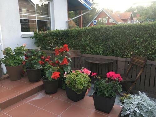Hostal Nida Guesthouse At Loreta