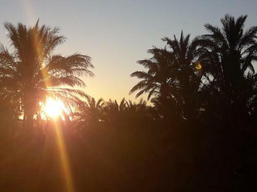 Riad Tagmadarte Ferme D'h�te