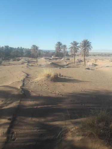 Riad Tagmadarte Ferme D'h�te