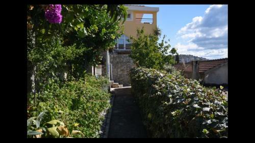 Green Peace Apartments With Swimming Pool